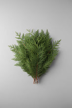 Load image into Gallery viewer, Cedar