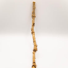 Load image into Gallery viewer, Buy high-quality natural Devil's Club Root online in Canada from NeepSee Herbs, Teas, and Traditional Medicines.