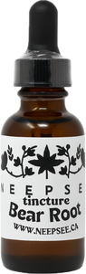 Bear Root Tincture