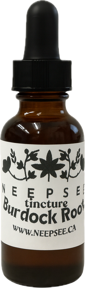 Burdock Tincture