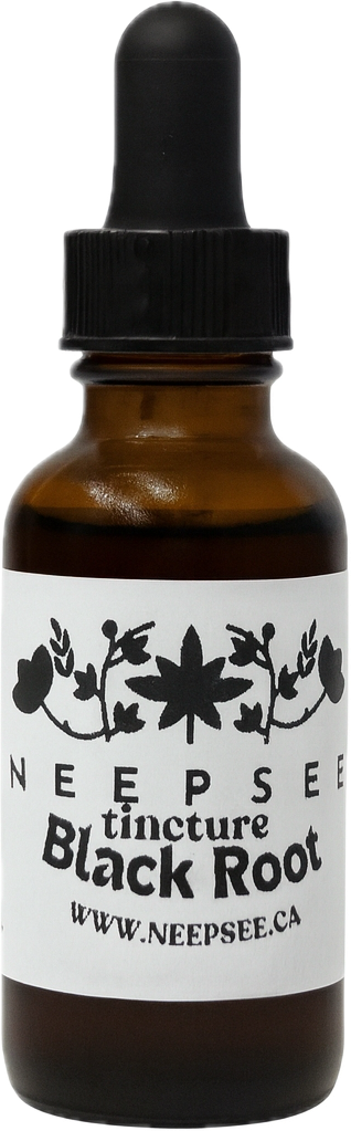 Black Root Tincture