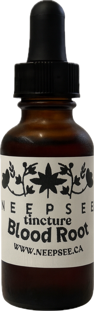 Blood Root Tincture
