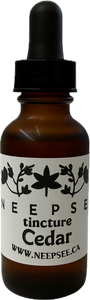 Cedar Tincture