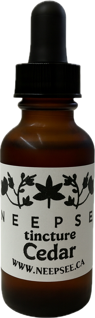 Cedar Tincture