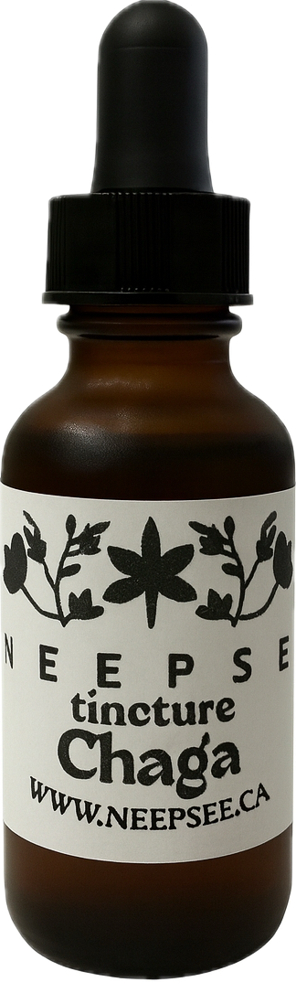 Chaga Tincture