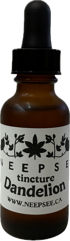 Dandelion Tincture