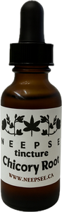 Chicory Root Tincture