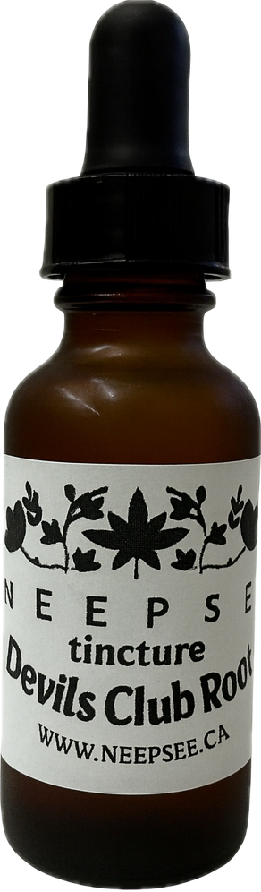Devils Club Tincture