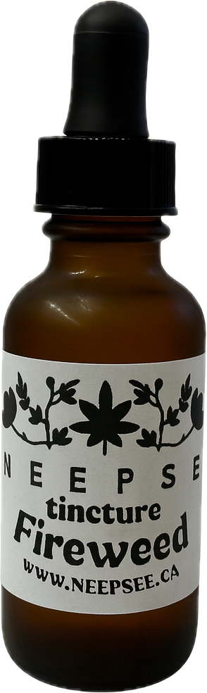 Fireweed Tincture