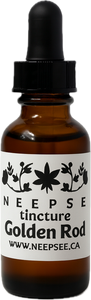 Golden Rod Tincture