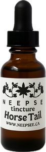 Horse Tail Tincture