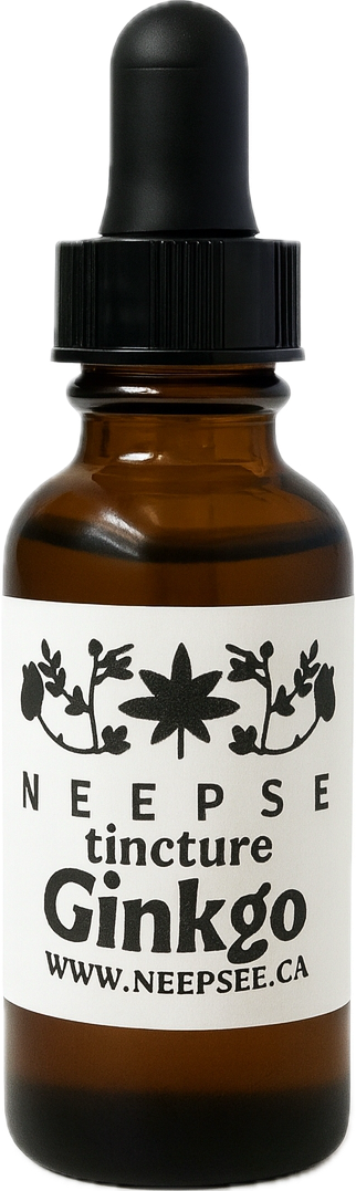 Ginkgo Tincture