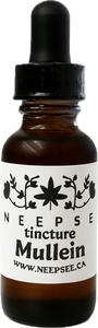 Mullein Tincture