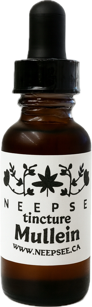 Mullein Tincture