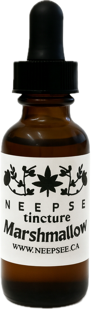 Marshmallow Tincture
