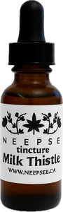 Milk Thistle Tincture