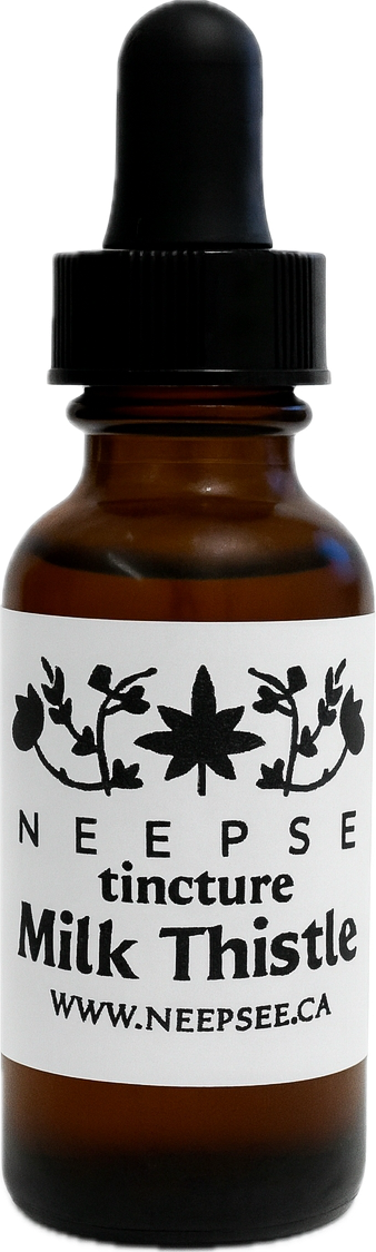 Milk Thistle Tincture