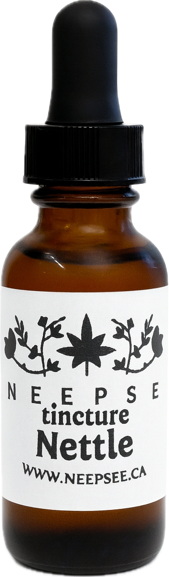 Nettle Tincture