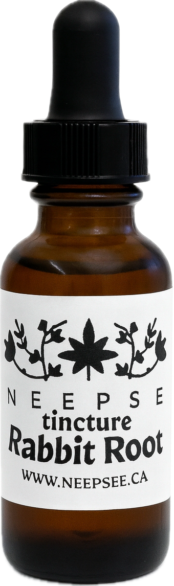 Rabbit Root Tincture