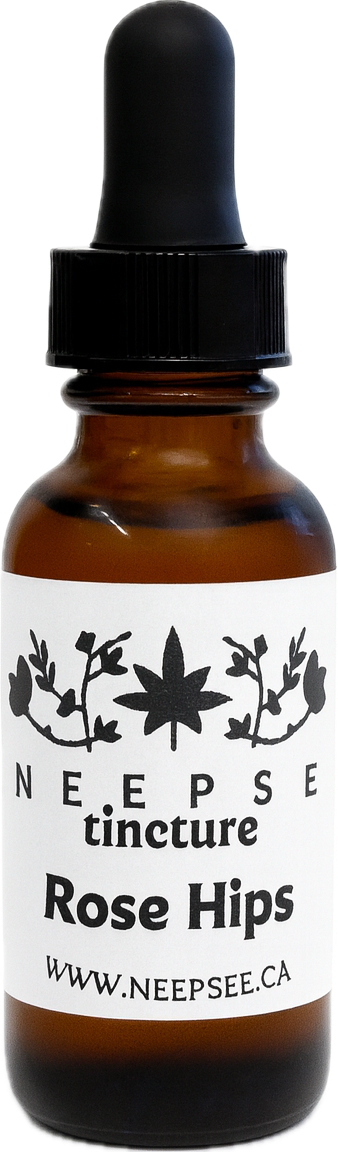 Rose Hips Tincture