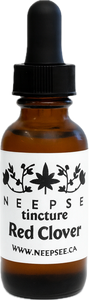 Red Clover Tincture