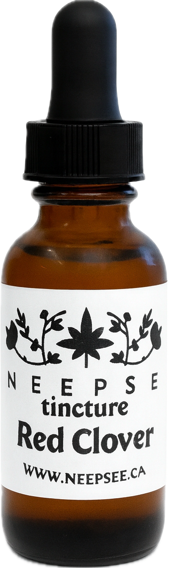 Red Clover Tincture