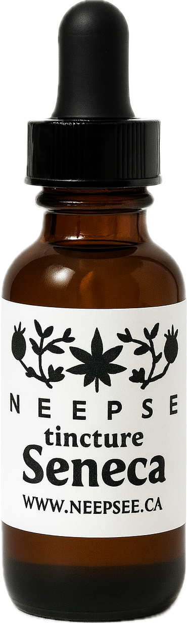 Seneca Tincture For Cough & Colds!