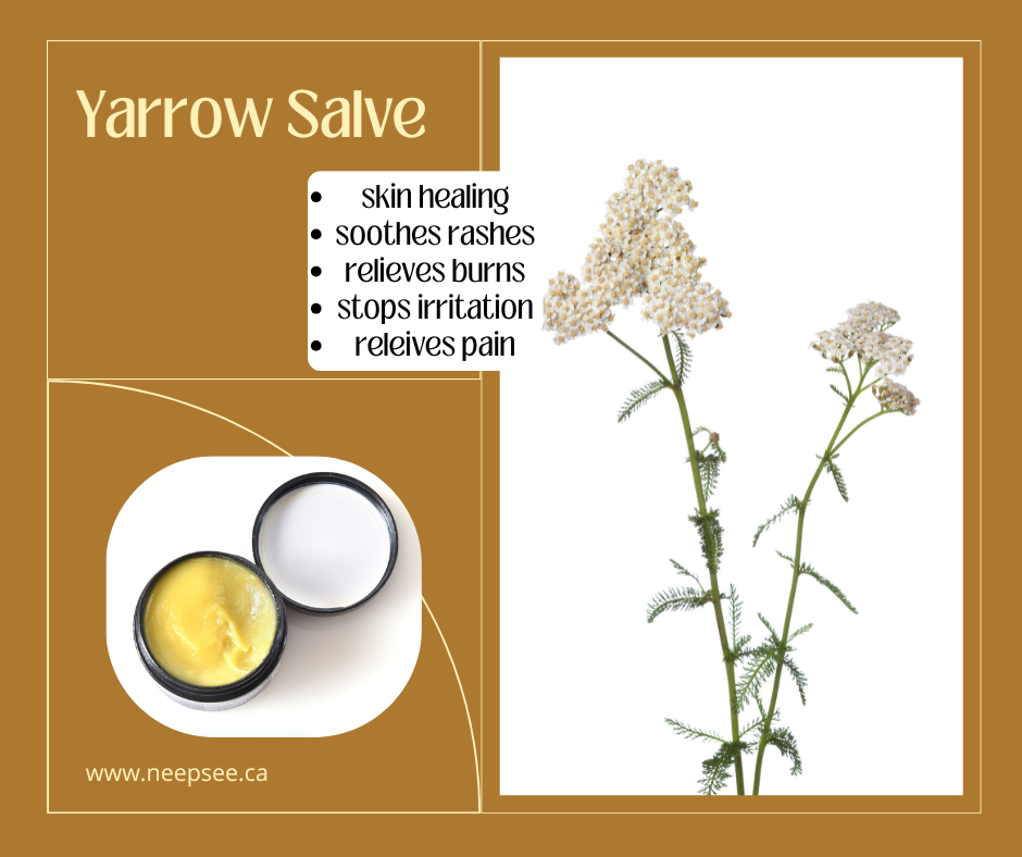 Yarrow Salve