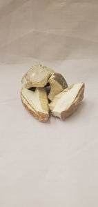 White Willow Fungus