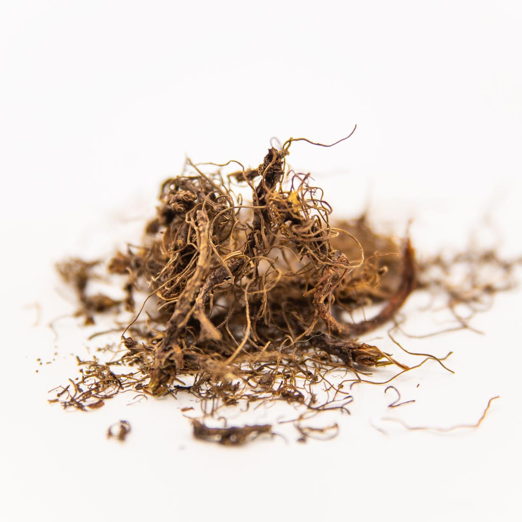 Buy high-quality natural Little Root online in Canada from NeepSee Herbs, Teas, and Traditional Medicines.