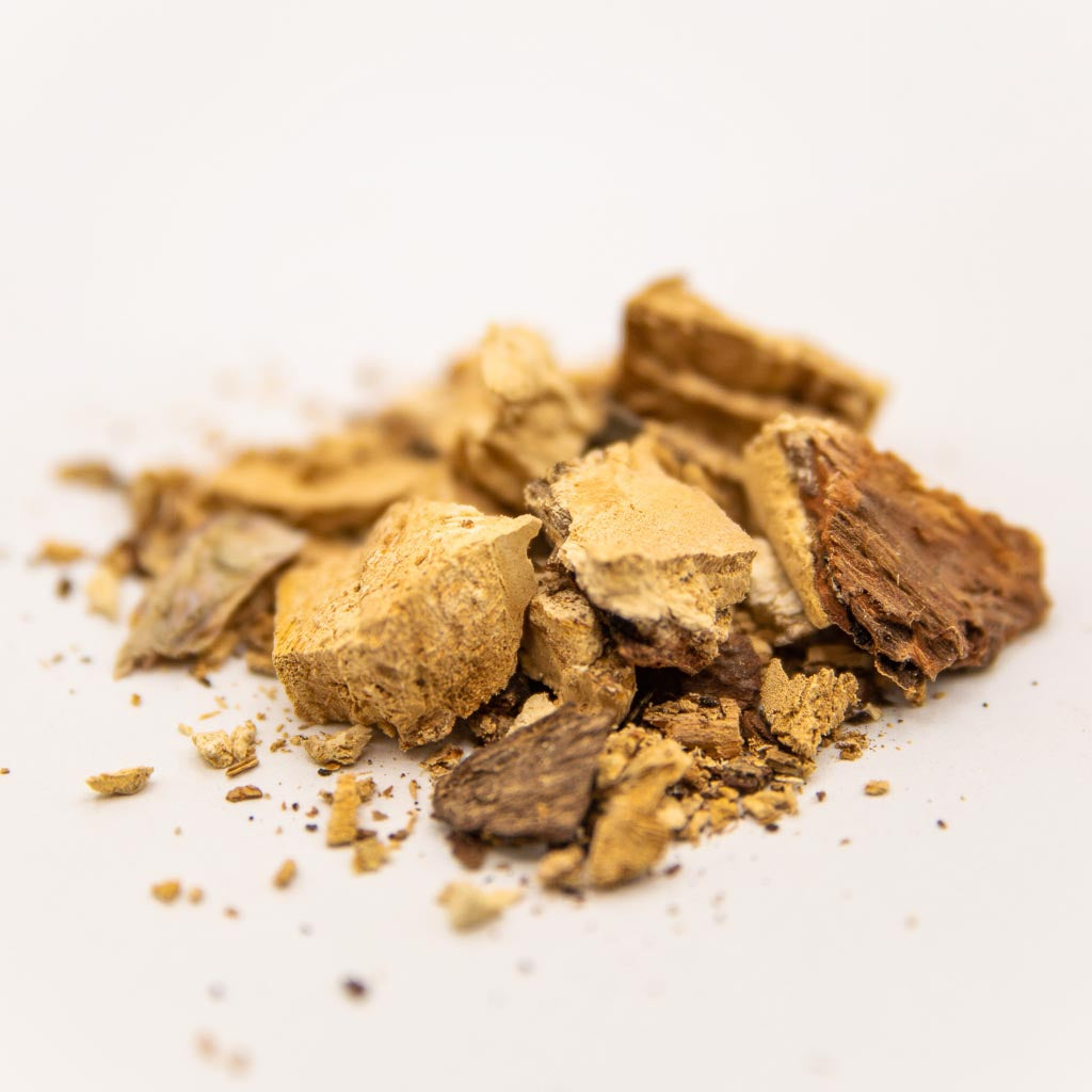 Buy high-quality natural Diamond Willow Fungus online in Canada from NeepSee Herbs, Teas, and Traditional Medicines.