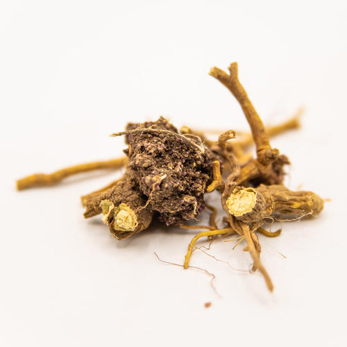 Buy high-quality natural Seneca Root online in Canada from NeepSee Herbs, Teas, and Traditional Medicines.