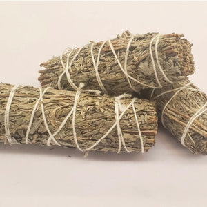 4 Inch Blue Sage NeepSee Herbs, Teas, and Traditional Medicines Online Canada