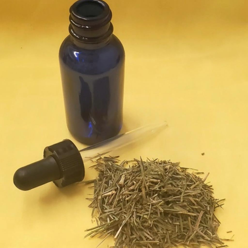 Buy high-quality natural Horse Tail Tincture online in Canada from NeepSee Herbs, Teas, and Traditional Medicines.
