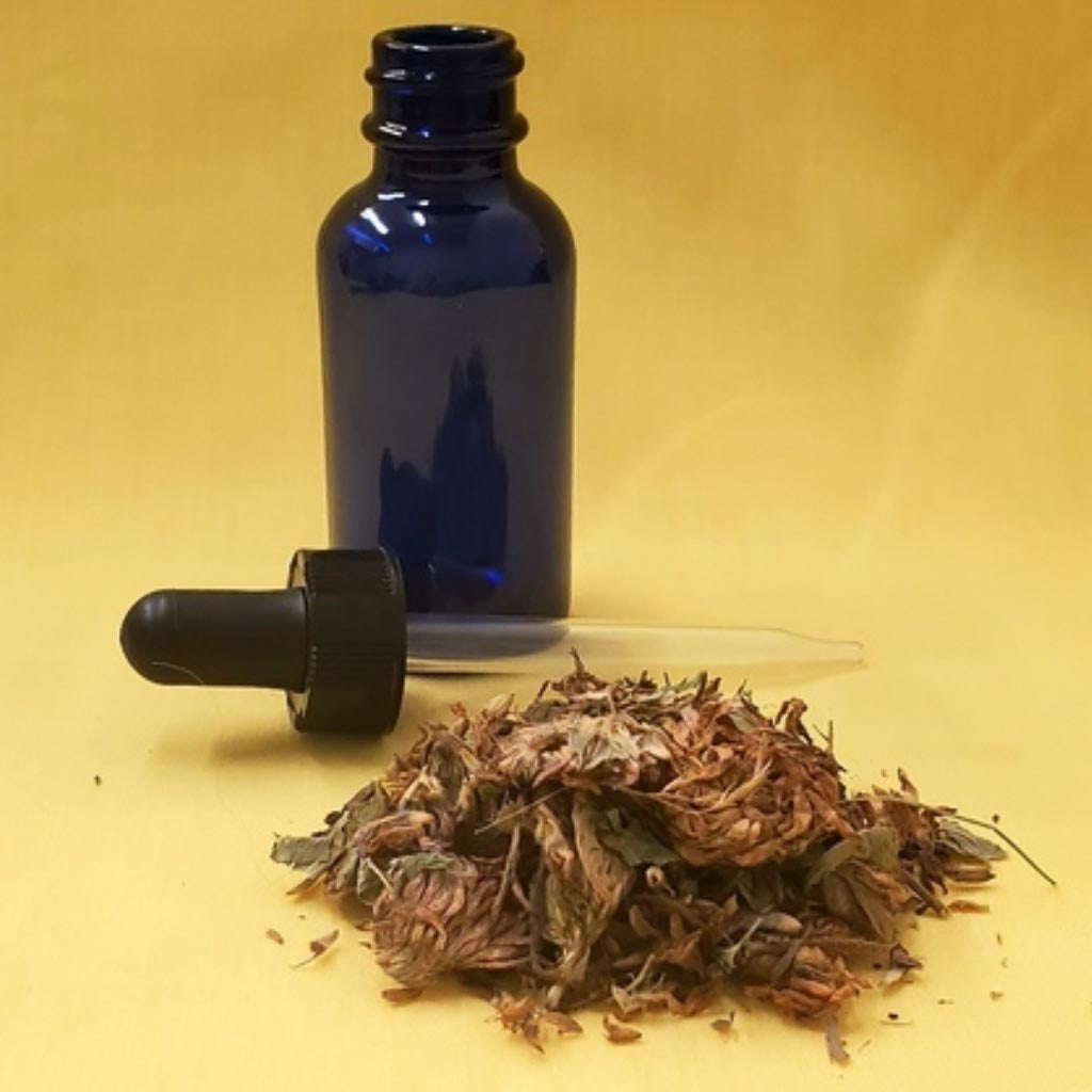 Buy high-quality natural Red Clover Tincture online in Canada from NeepSee Herbs, Teas, and Traditional Medicines.