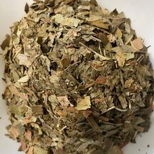 Load image into Gallery viewer, Buy high-quality natural Ginko online in Canada from NeepSee Herbs, Teas, and Traditional Medicines.
