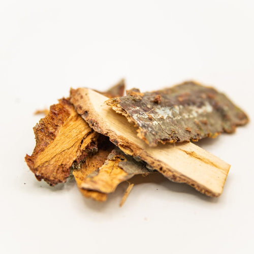 Buy Balsam Bark Online Canada NeepSee Herbs, Teas, and Traditional Medicines